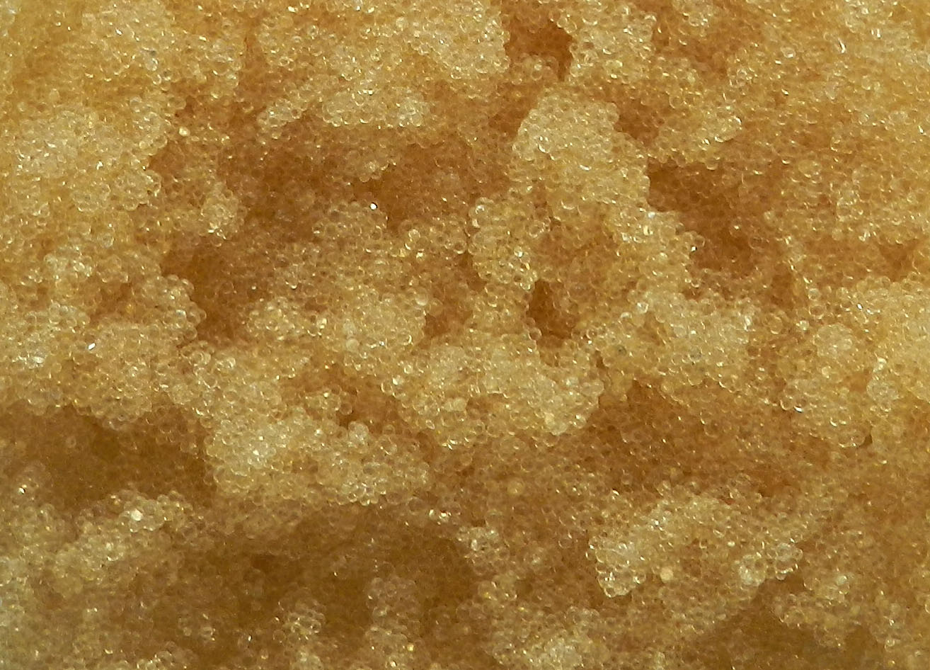 腾博tengbo9885_首页(欢迎您)