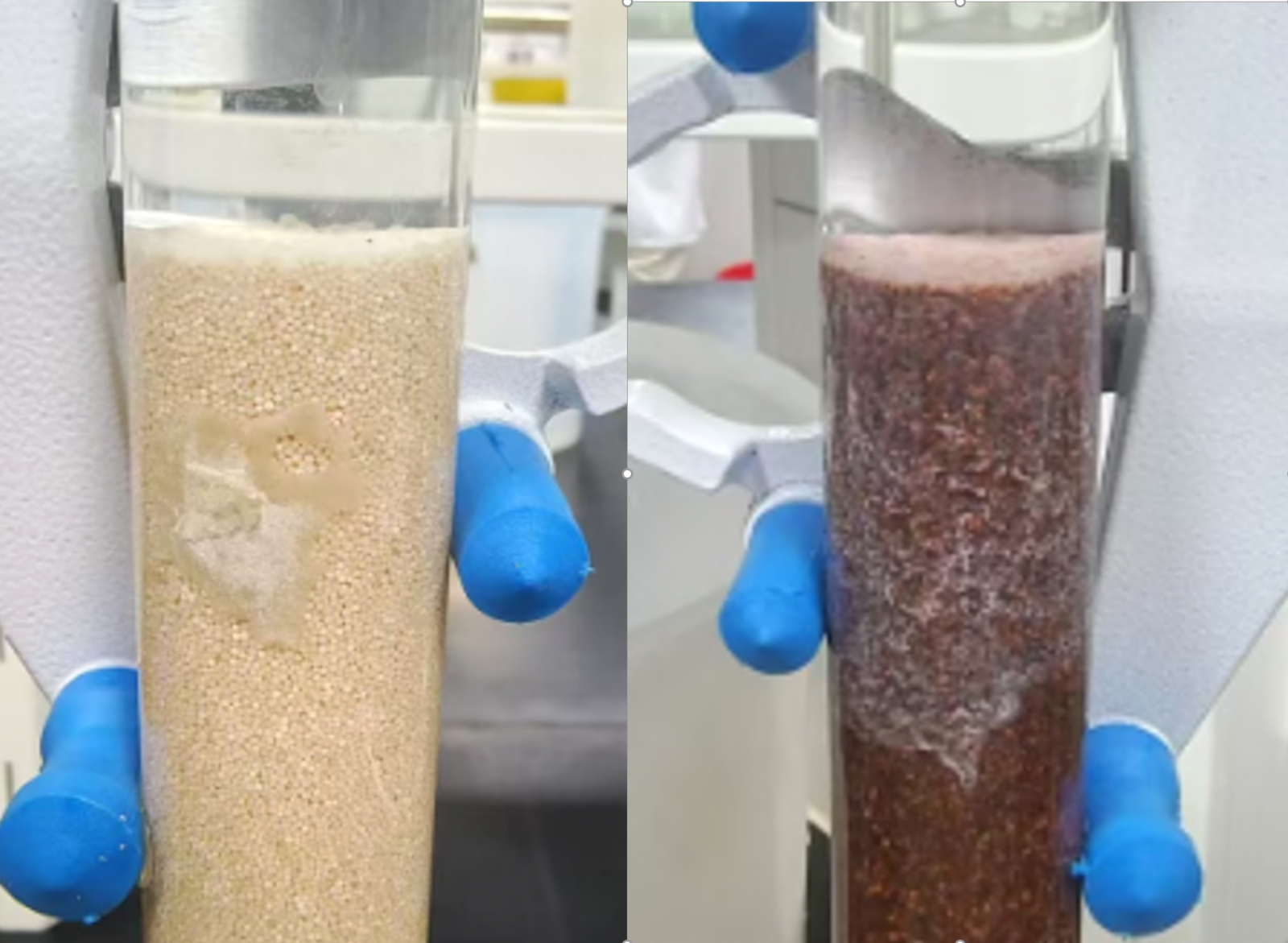 腾博tengbo9885_首页(欢迎您)