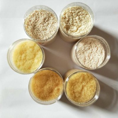 ���������֬��ɫԭ��