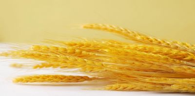 �ڲ�tengbo9885����С���á��������Ǿ���֪ʶ