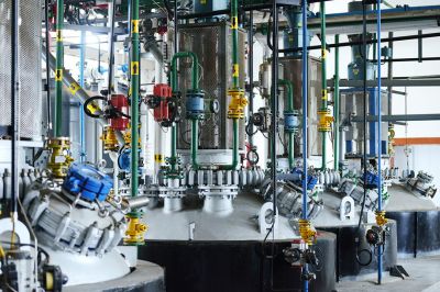 ��֬��������