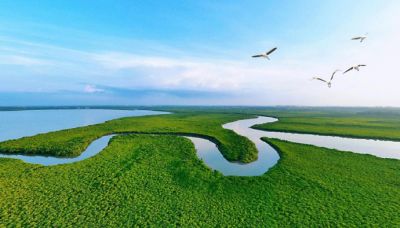 ����ˮ���뻭�����ڲ�tengbo9885�������Ư���й���̬��ɫ